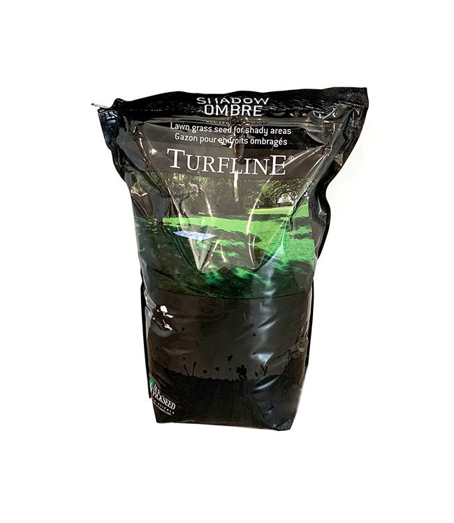 Turfline Shadow Lawn Seed