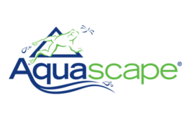 Aquascape