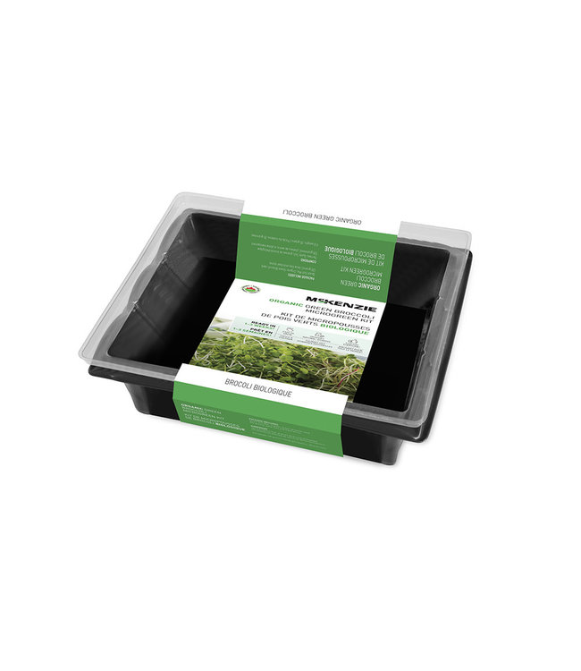 Micro Greens - Broccoli Kit Broccoli Green Sprouting Org - Single