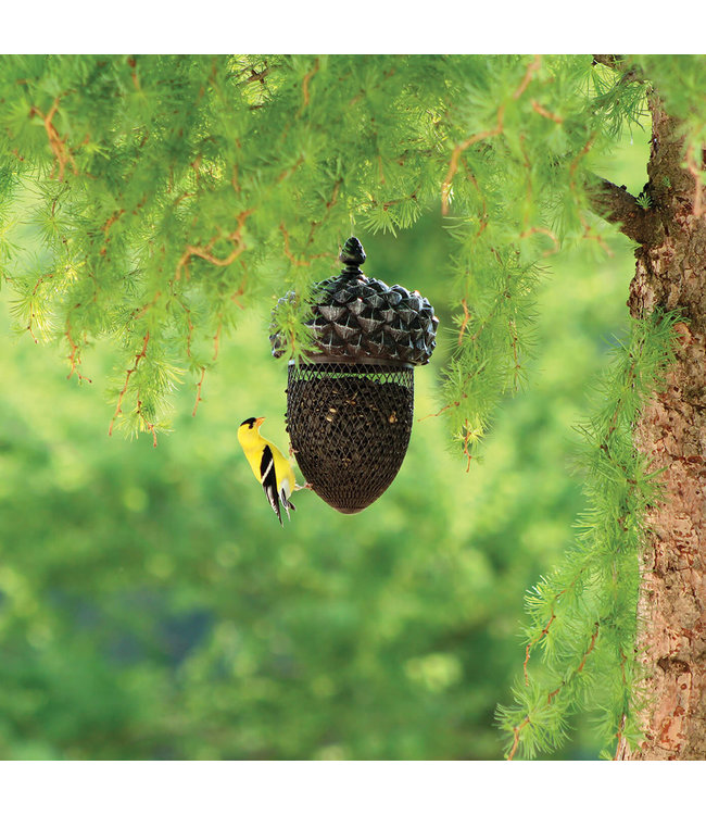 Acorn shape blackoil sunflower feeder