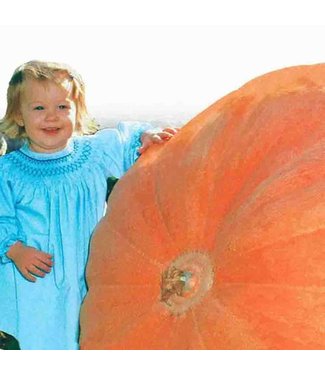 Mckenzie Pumpkin Dill's Atlantic Giant Seed Packet