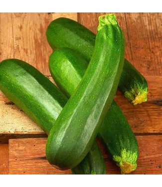 Mckenzie Zucchini Dark Green