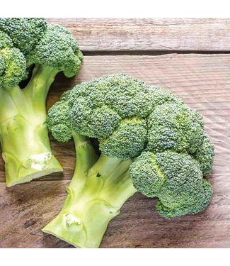 Livingstone Mckenzie Broccoli De Cicco  Sow Easy Seed Packet