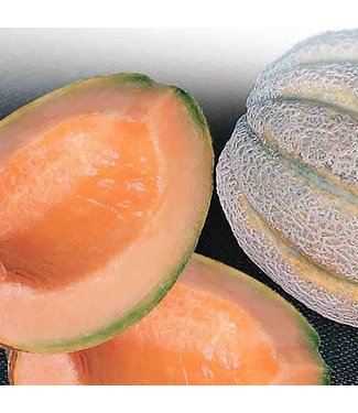 Mckenzie Mckenzie Cantaloupe Delicious Seed Packet