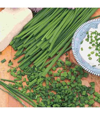 Mckenzie Mckenzie Herb Chives Seed Packet