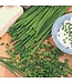 Mckenzie Herb Chives Seed Packet