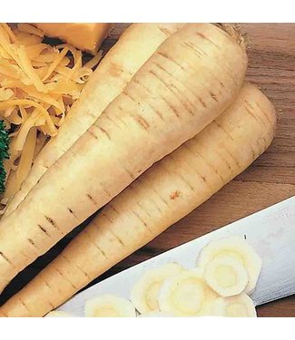 Mckenzie Mckenzie Parsnip Hollow Crown Seed Packet