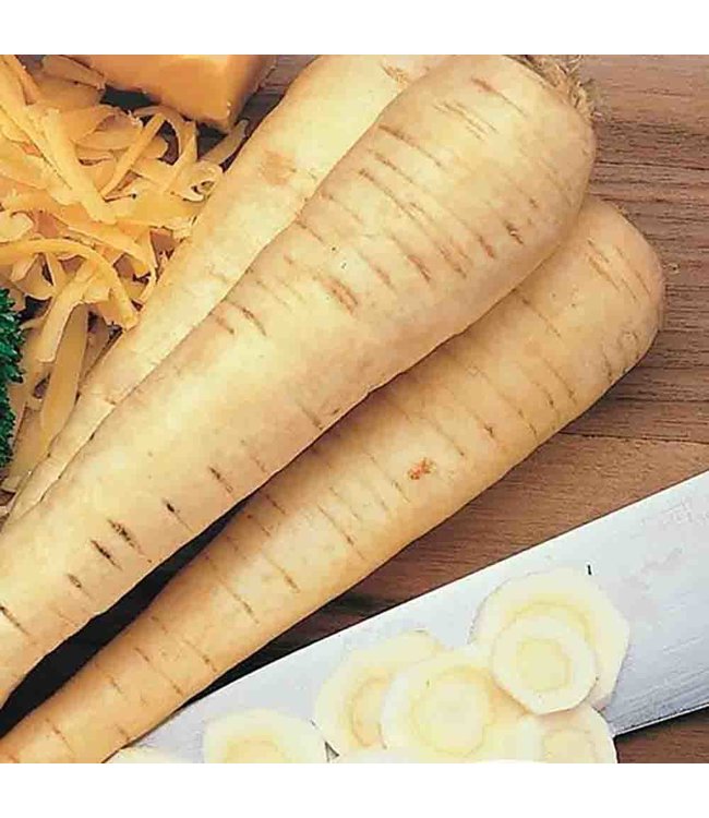 Mckenzie Parsnip Hollow Crown Seed Packet