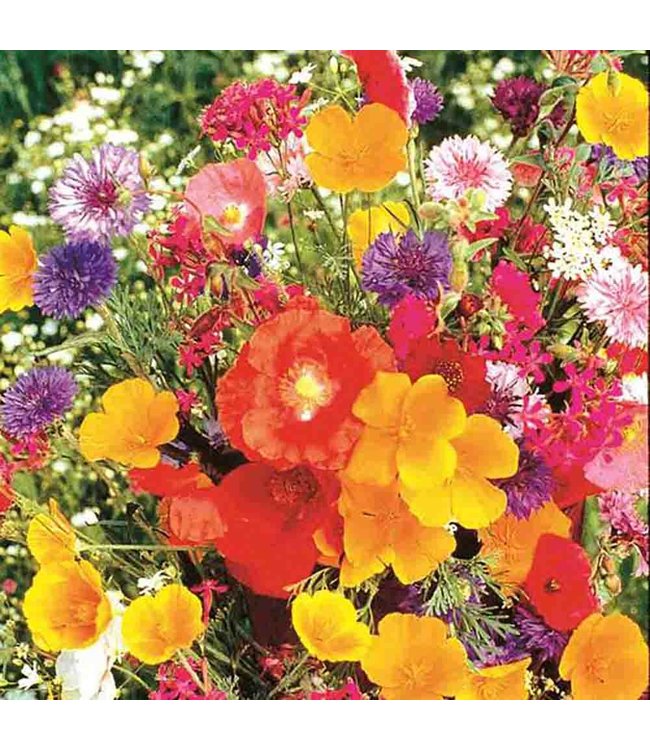 Mckenzie Old Fashioned Flower Garden J Seed Packet