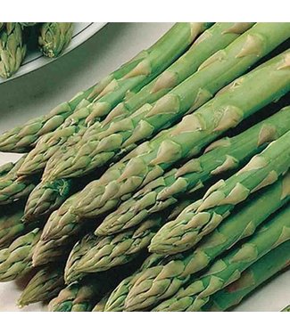 Mckenzie Asparagus Viking
