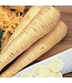 Mckenzie Parsnip Hollow Crown Seed Packet