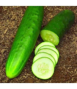 Mckenzie Cucumber Straight Eight Seed Packet