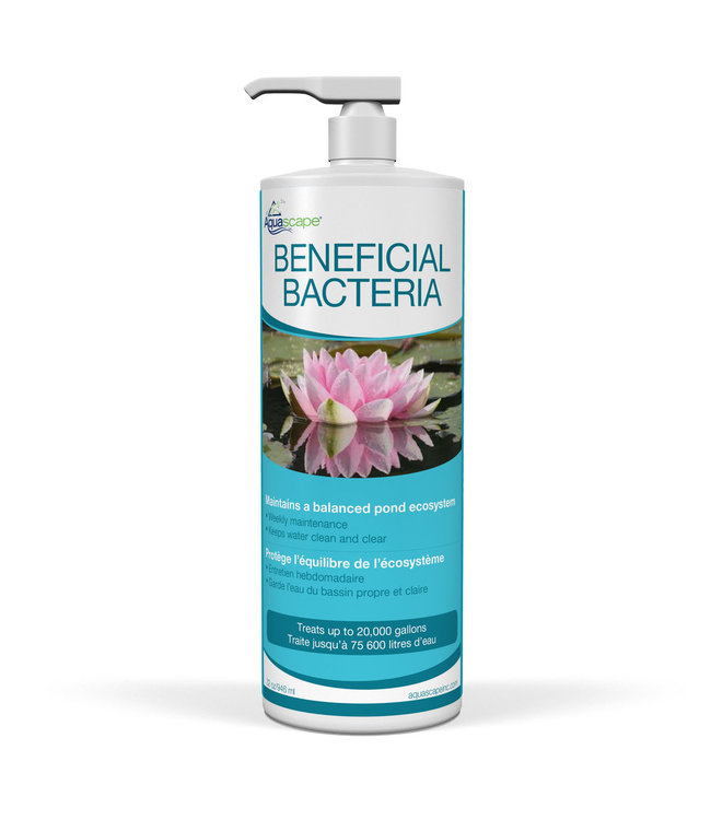 Aquascape Beneficial Bacteria