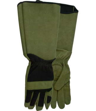 Watson Gloves Watson GAME OF THORNS MEN'S Gloves - One Size