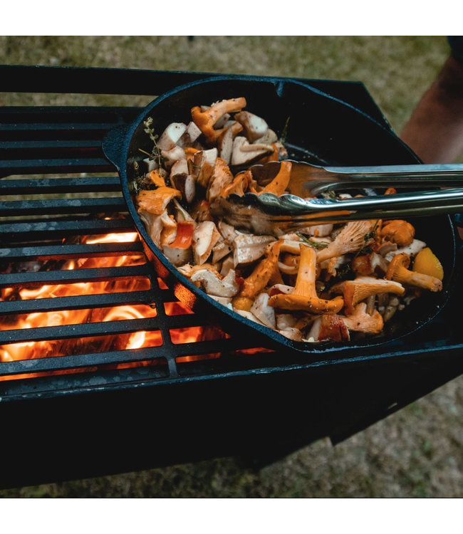 Black Earth Grills Roam Livingstone Outdoor