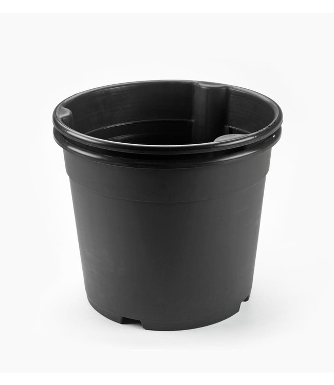 Potato Harvest Planter - Single