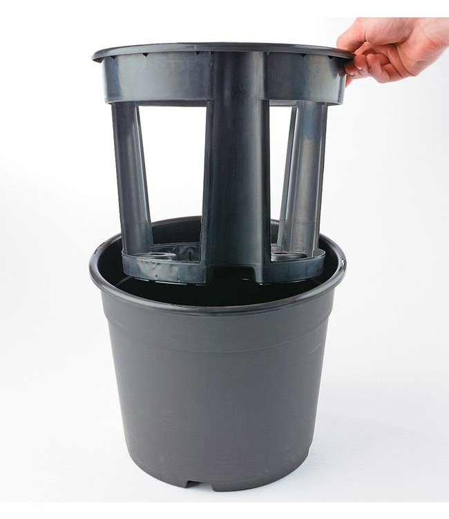 Potato Harvest Planter - Single