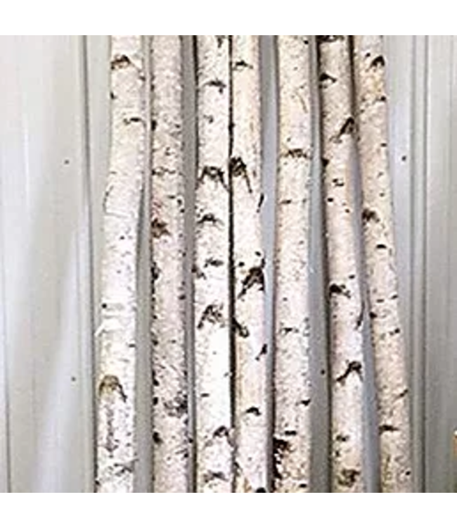 Birch Pole 3-5'