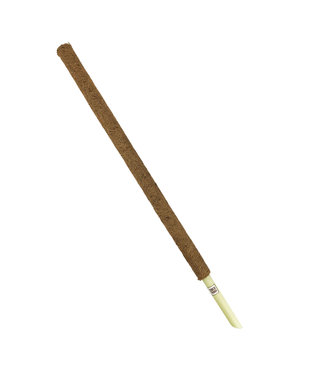 Livingstone 90cm COCO Grow Stake