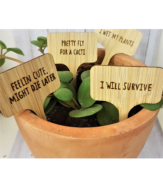 Burn It Down Woodworks (c) Pretty Fly Plant Tag (FINAL SALE)