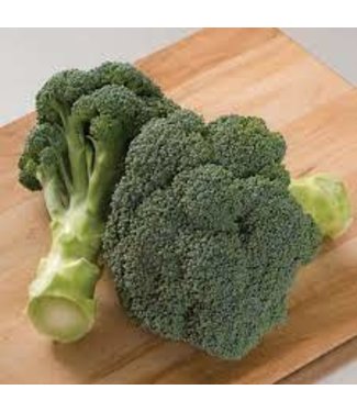 Mckenzie Broccoli Imperial Hybrid Seed Packet