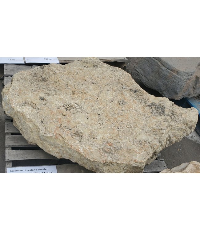 Specimen Limestone Boulder
