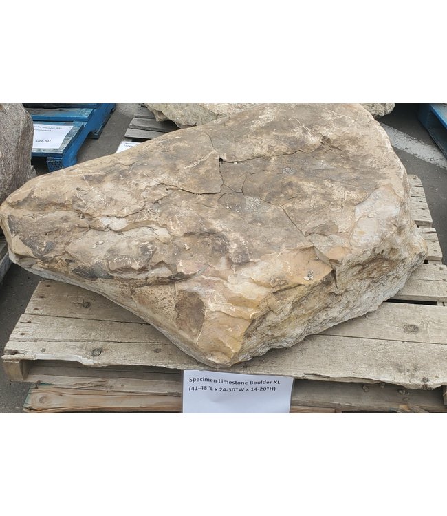 Specimen Limestone Boulder