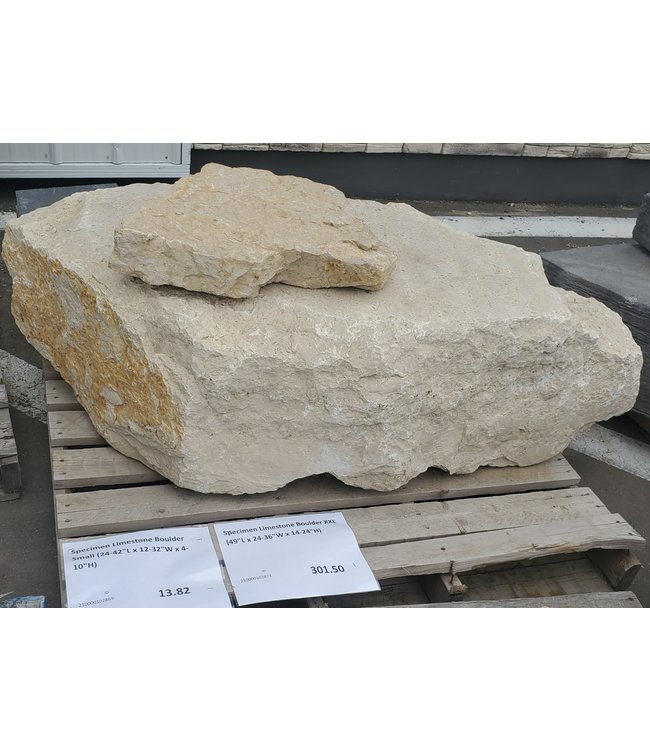 Specimen Limestone Boulder