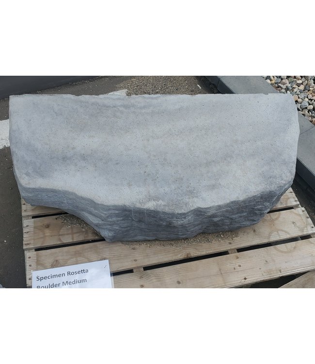 Specimen Rosetta Boulder