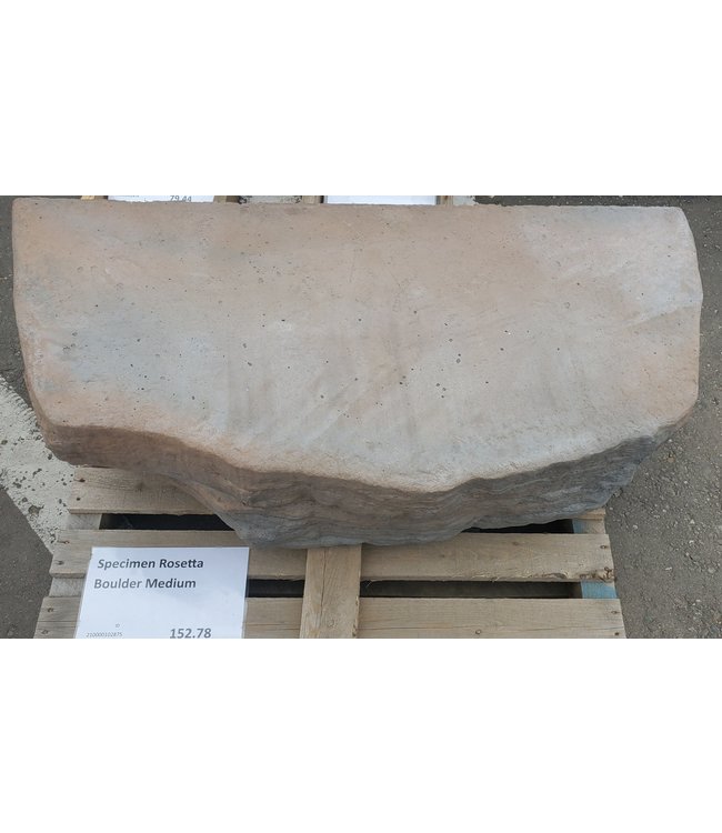 Specimen Rosetta Boulder