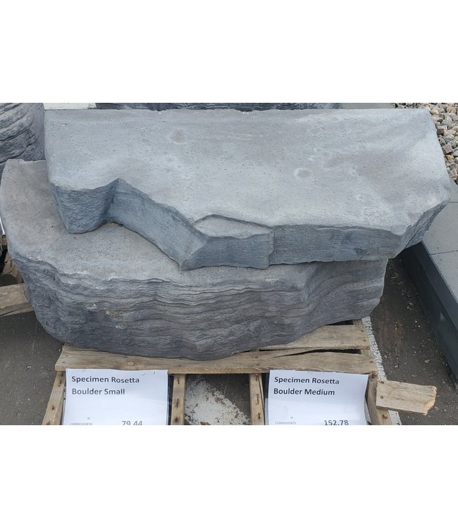 Specimen Rosetta Boulder