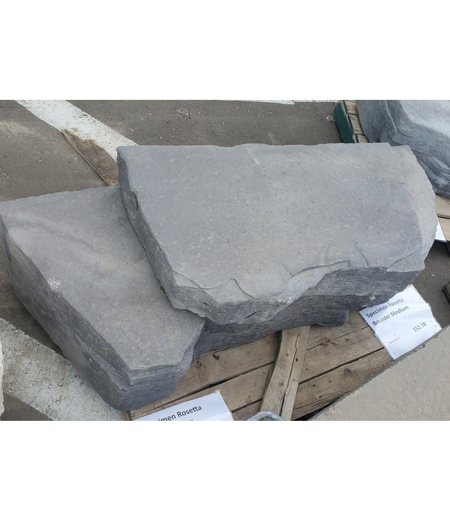 Specimen Rosetta Boulder