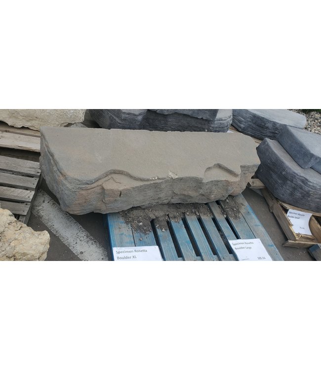 Specimen Rosetta Boulder