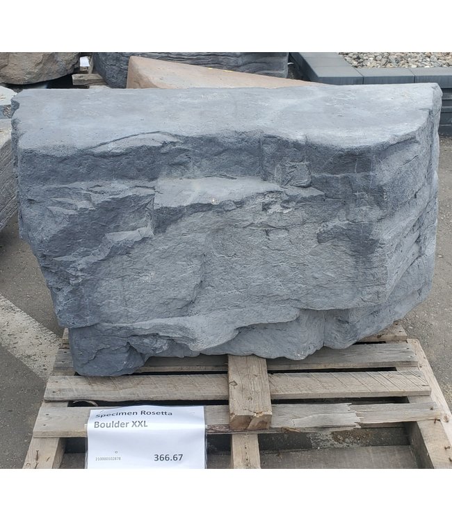 Specimen Rosetta Boulder