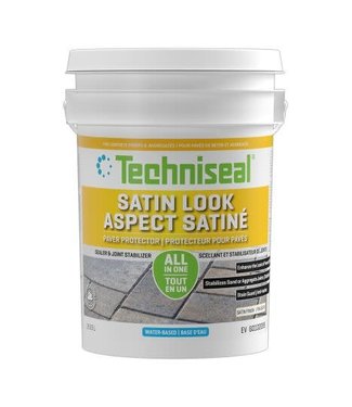 Techniseal Techniseal Pro Protect EV Clear Look