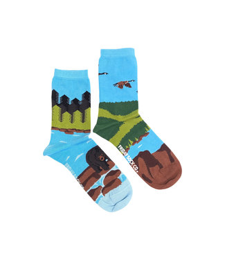 Friday Sock Co. Women's Canadian Shield Landscape Socks