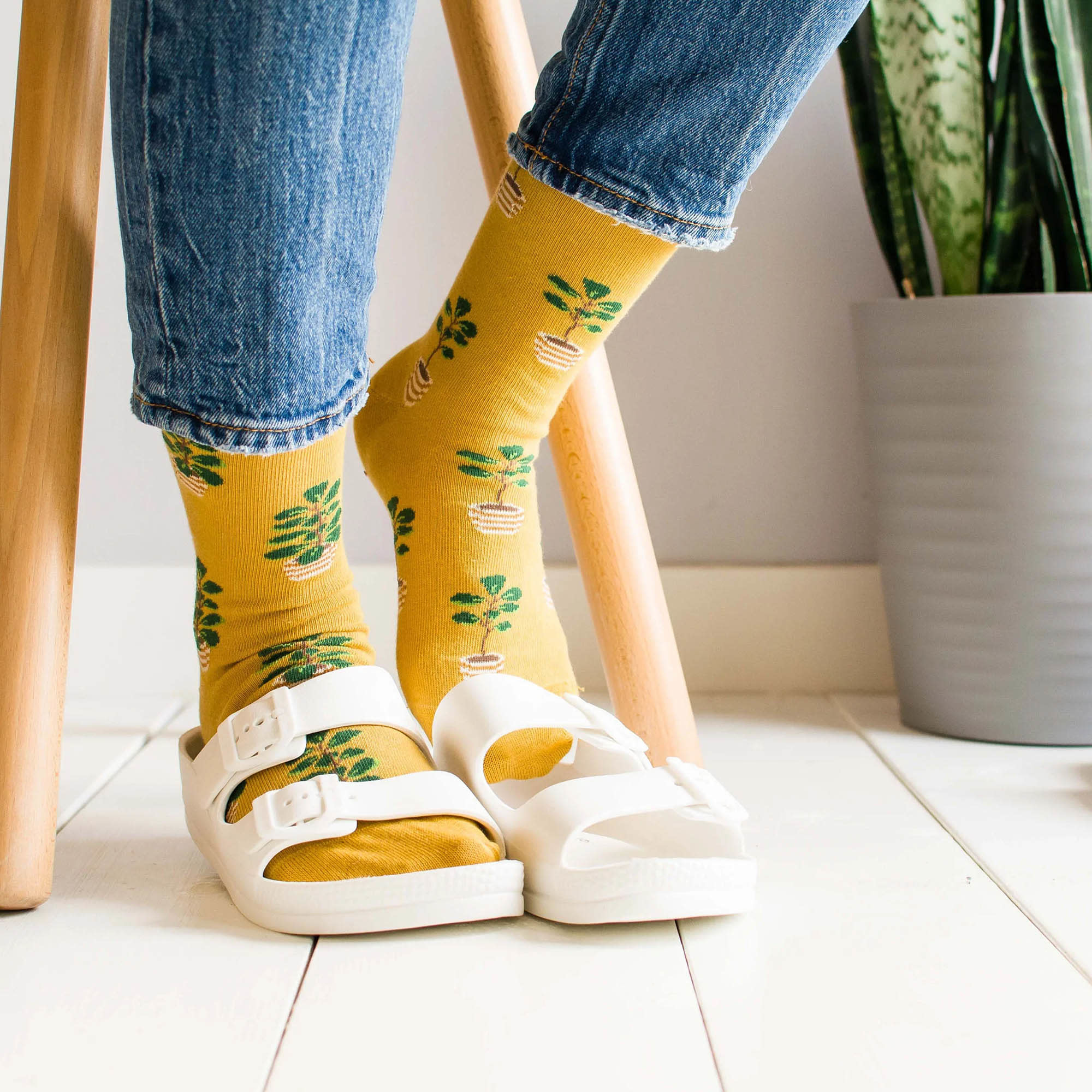 Women's Fiddle Leaf Fig Socks Livingstone Outdoor