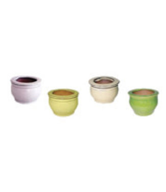 Evergarden 6" Self Watering Pots - Assorted Colours