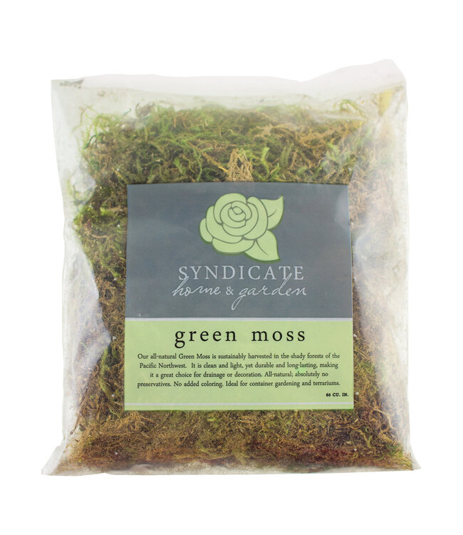 Green Moss Bag