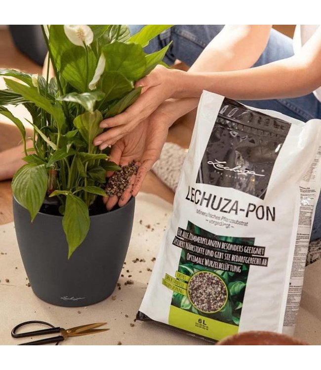 LECHUZA PON Potting Soil for Indoor Plants