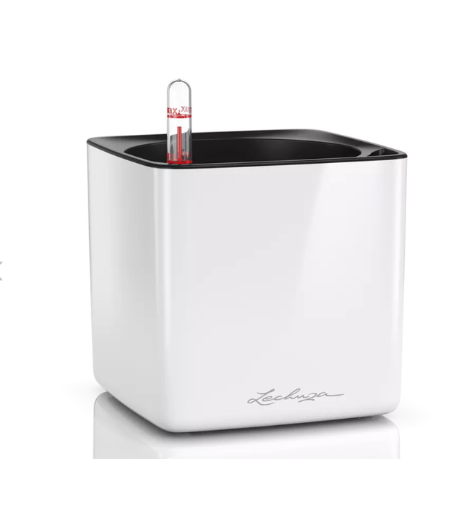 LECHUZA CUBE Poly Resin Table Planter