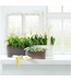 LECHUZA DELTA Poly Resin Table/Windowsill Trough Planter