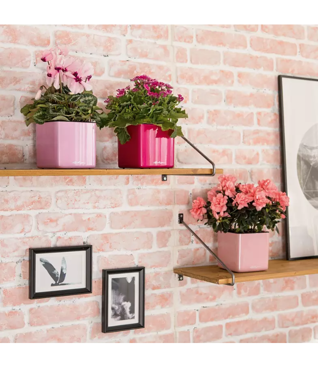 LECHUZA CUBE Glossy Kiss Poly Resin Table Square Planter