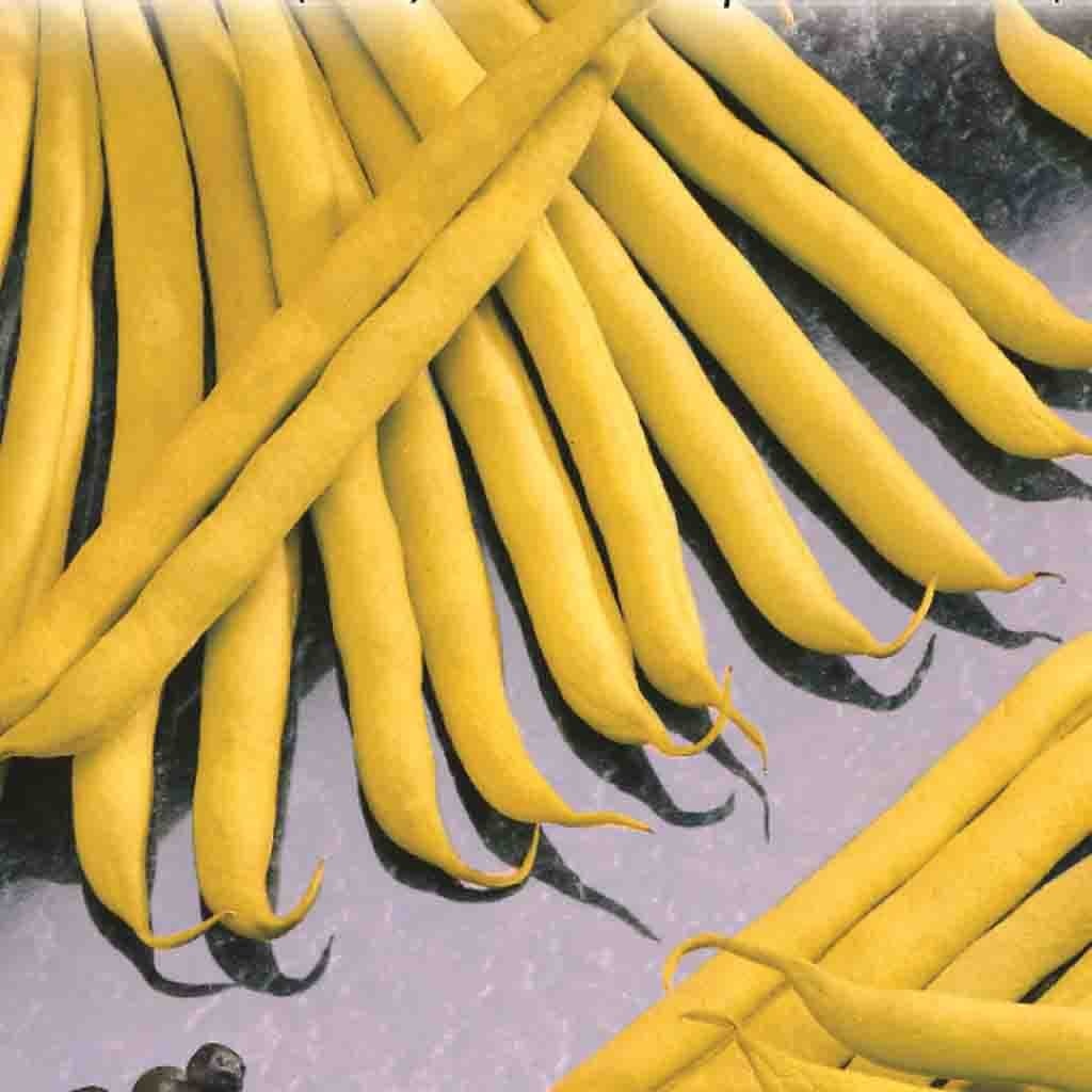 Mckenzie Bean Improved Golden Wax (Bush ) Seed Packet Livingstone Outdoor