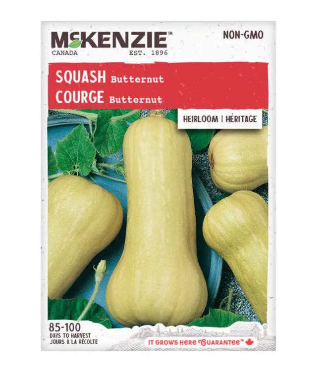 Mckenzie Squash Butternut Heirloom Seed Packet