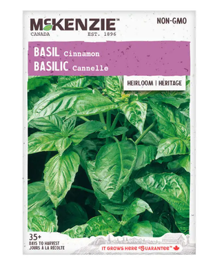 Mckenzie Herb Basil Cinnamon Heritage Seed Packet