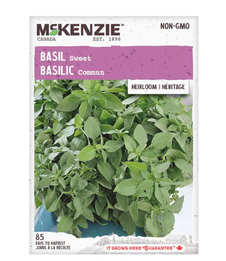Mckenzie Herb Basil Sweet Heirloom Seed Packet