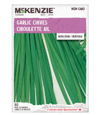 Mckenzie Mckenzie  Garlic Chives  Heirloom Seed Packet