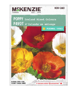 Mckenzie Poppy Iceland Mixed Colors Seed Packet