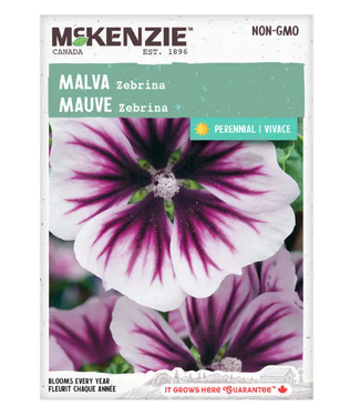 Mckenzie Malva Zebrina Seed Packet